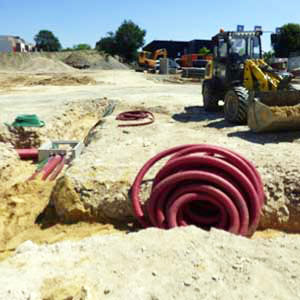 trees protection before building works